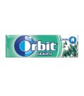 Chewing gum Orbit dagree eucalyptus sugarfree