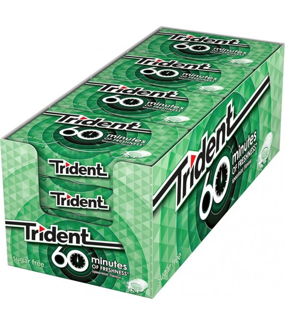 Trident 60 minutes spearmint gum